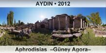 AYDIN Aphrodisias  Gney Agora