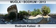 MULA  BODRUM Bodrum Kalesi  X