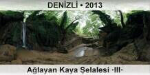 DENZL Alayan Kaya elalesi III