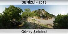 DENZL Gney elalesi