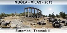 MULA  MLAS Euromos Tapnak II