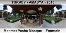 TURKEY • AMASYA Mehmet Pasha Mosque  –Fountain–