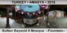 TURKEY • AMASYA Sultan Bayezid II Mosque  –Fountain–