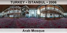 TURKEY • İSTANBUL Arab Mosque