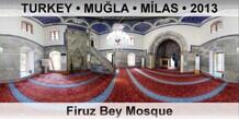 TURKEY • MUĞLA • MİLAS Firuz Bey Mosque